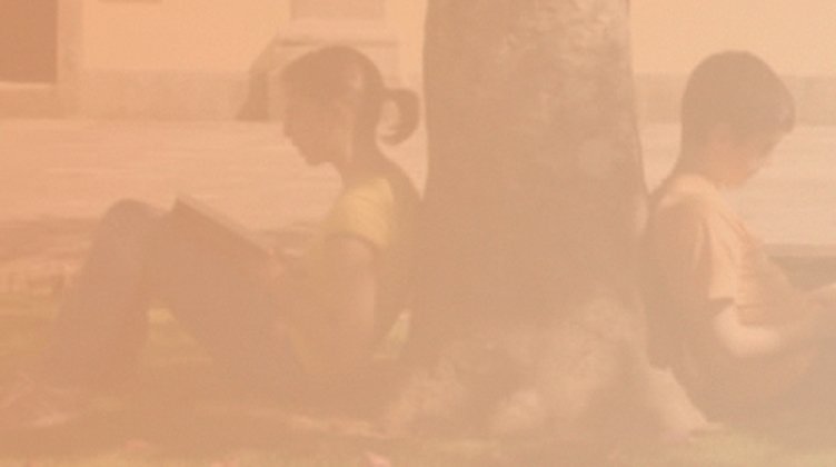na imagem vê-se dois jovens sentados a ler, cada um posicionado em cada lado do tronco de uma árvore. A imagem tem uma espécie de filtro por cima na cor laranja, que é a cor do logótipo da RIBAM.